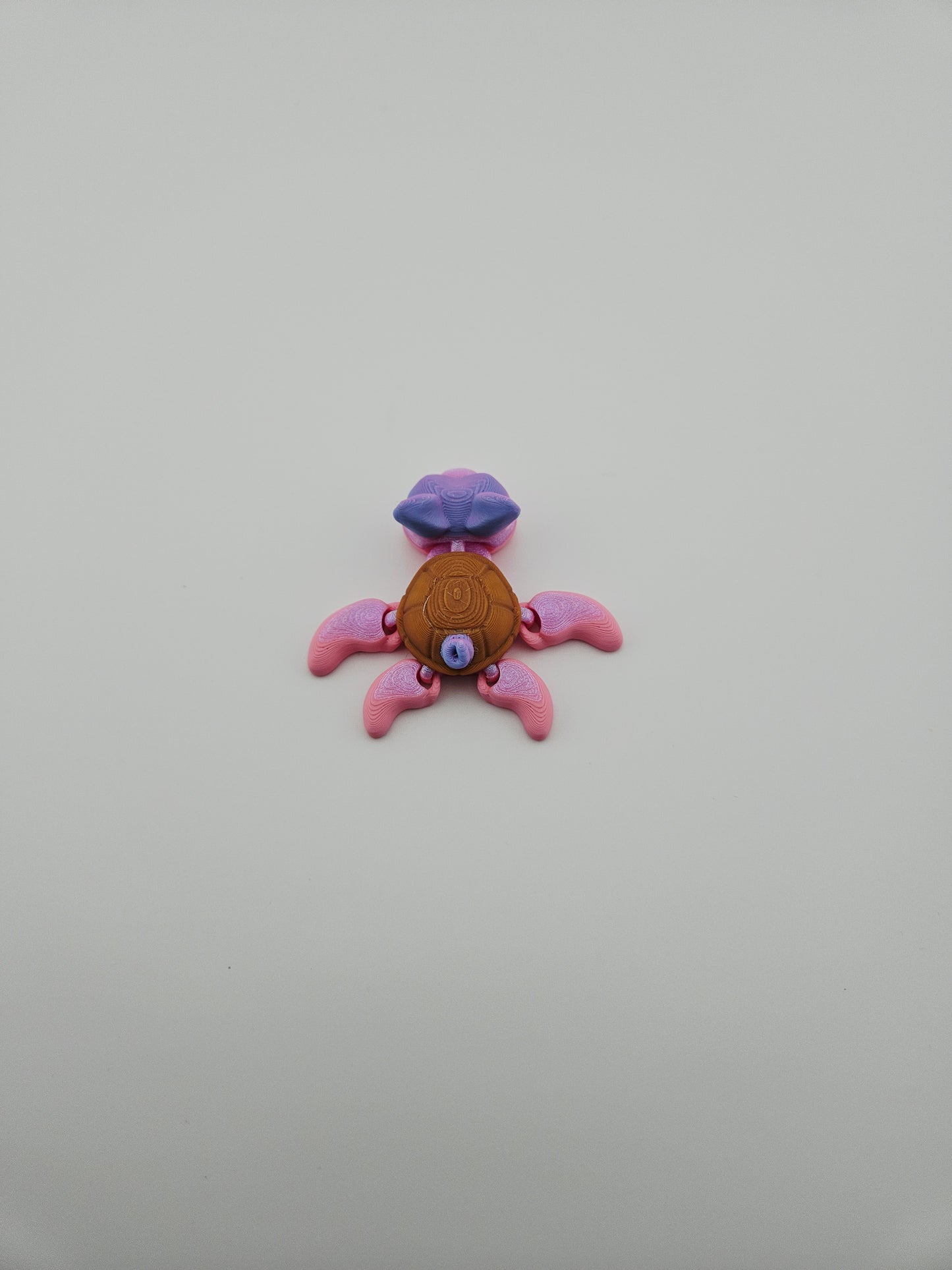 Piggy Multicolor Scented Turtle