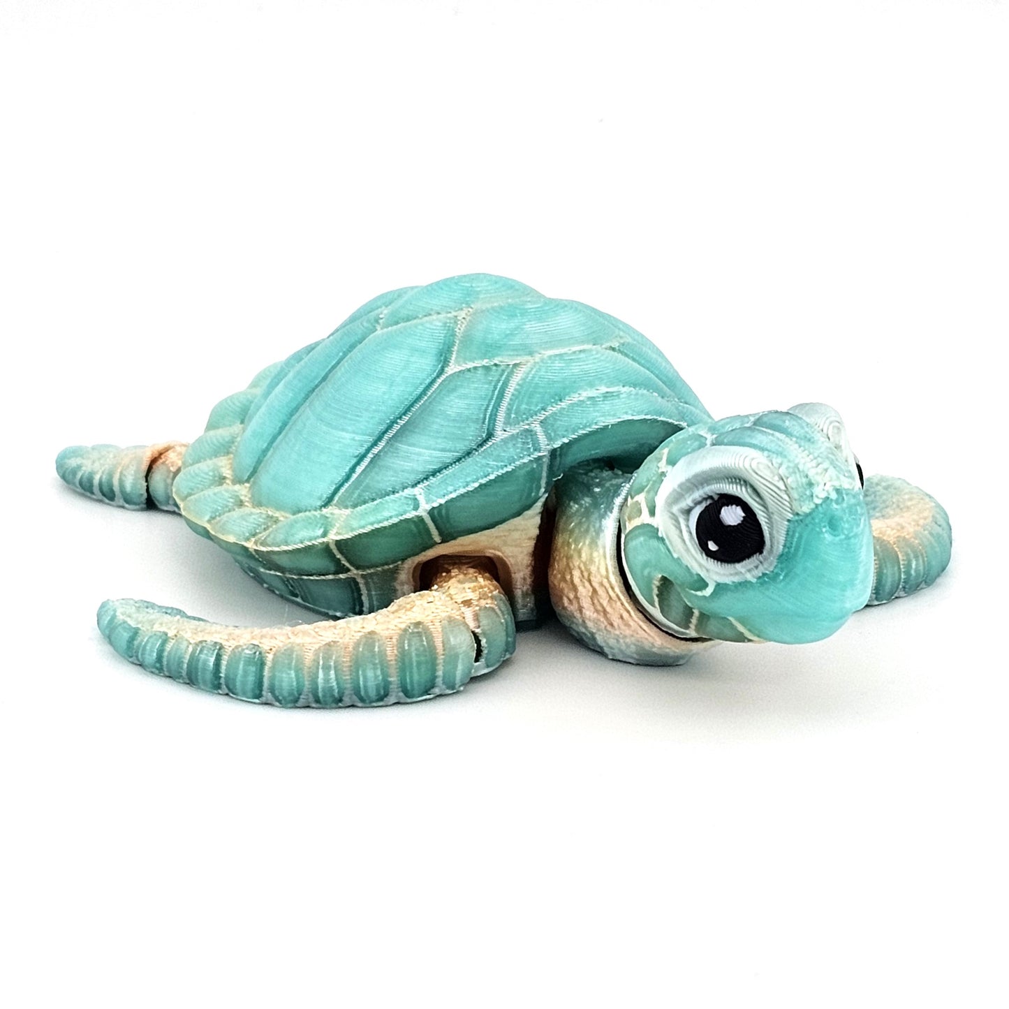 Prospect 3D - Baby Sea Turtle Articulated Figure - 3D Printed - Sea Turtle Shores Collection - 5x4.75x1.5 Dimensions