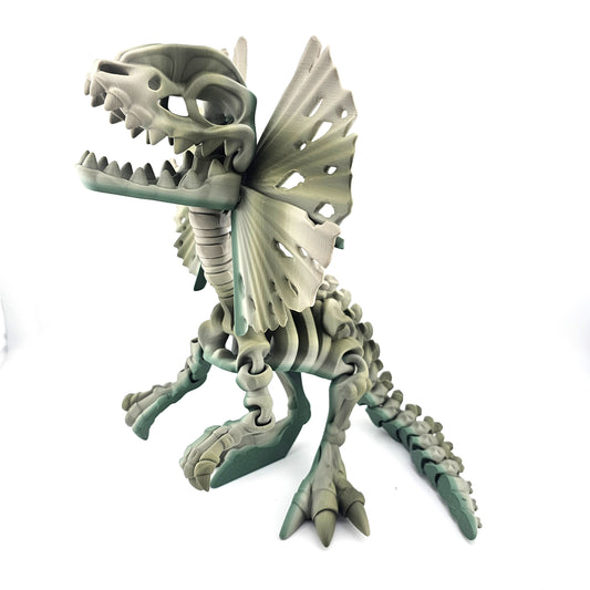 Prospect 3D - 3D Printed Dilophosaurus Dinosaur Figure – 10.5" Tall x 12" Long - Articulated Fossil-Style Display Model