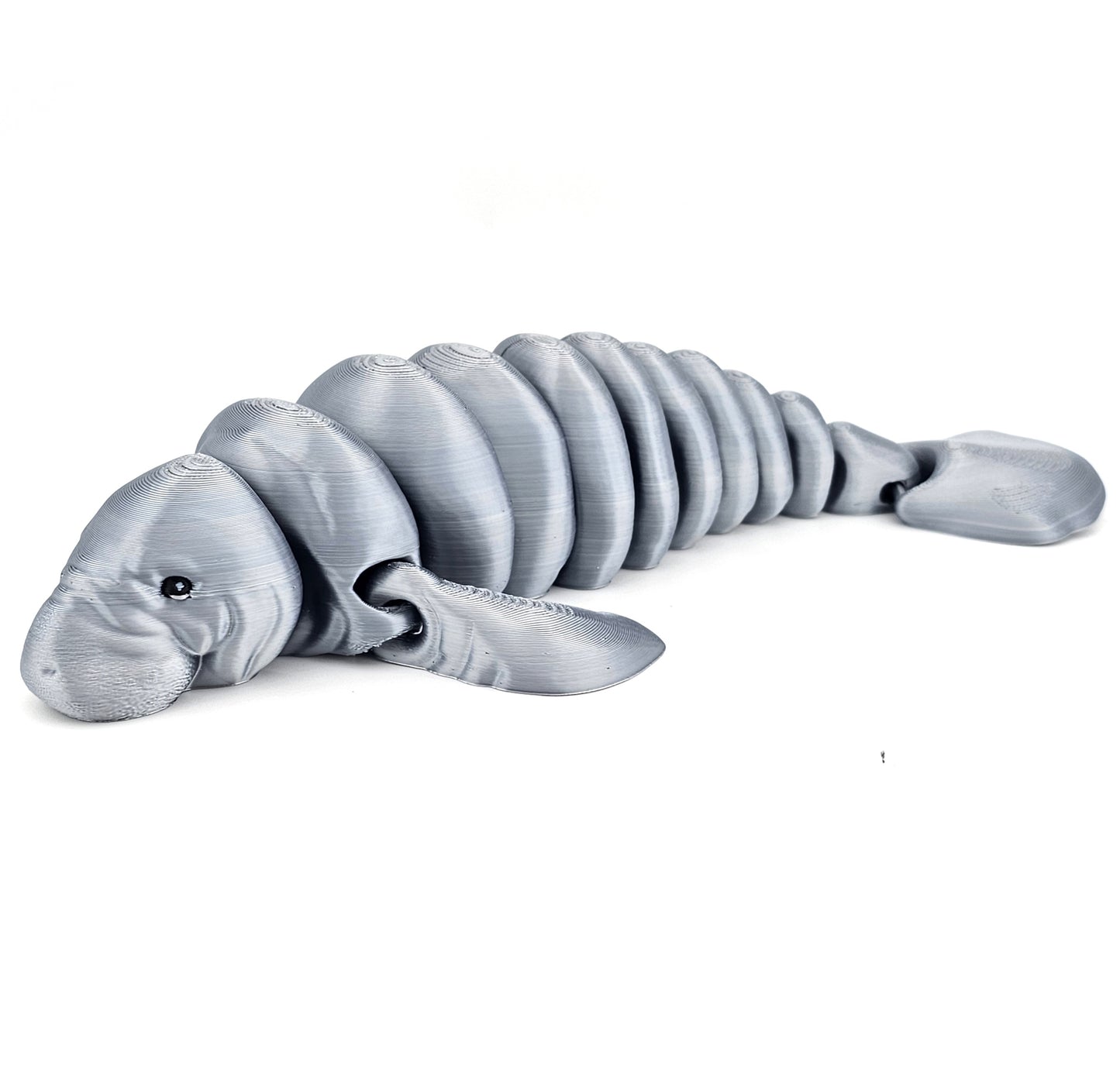 Prospect 3D - Realistic 3D Printed Orca – Sea Turtle Shores Collection – 10.5" Display Model